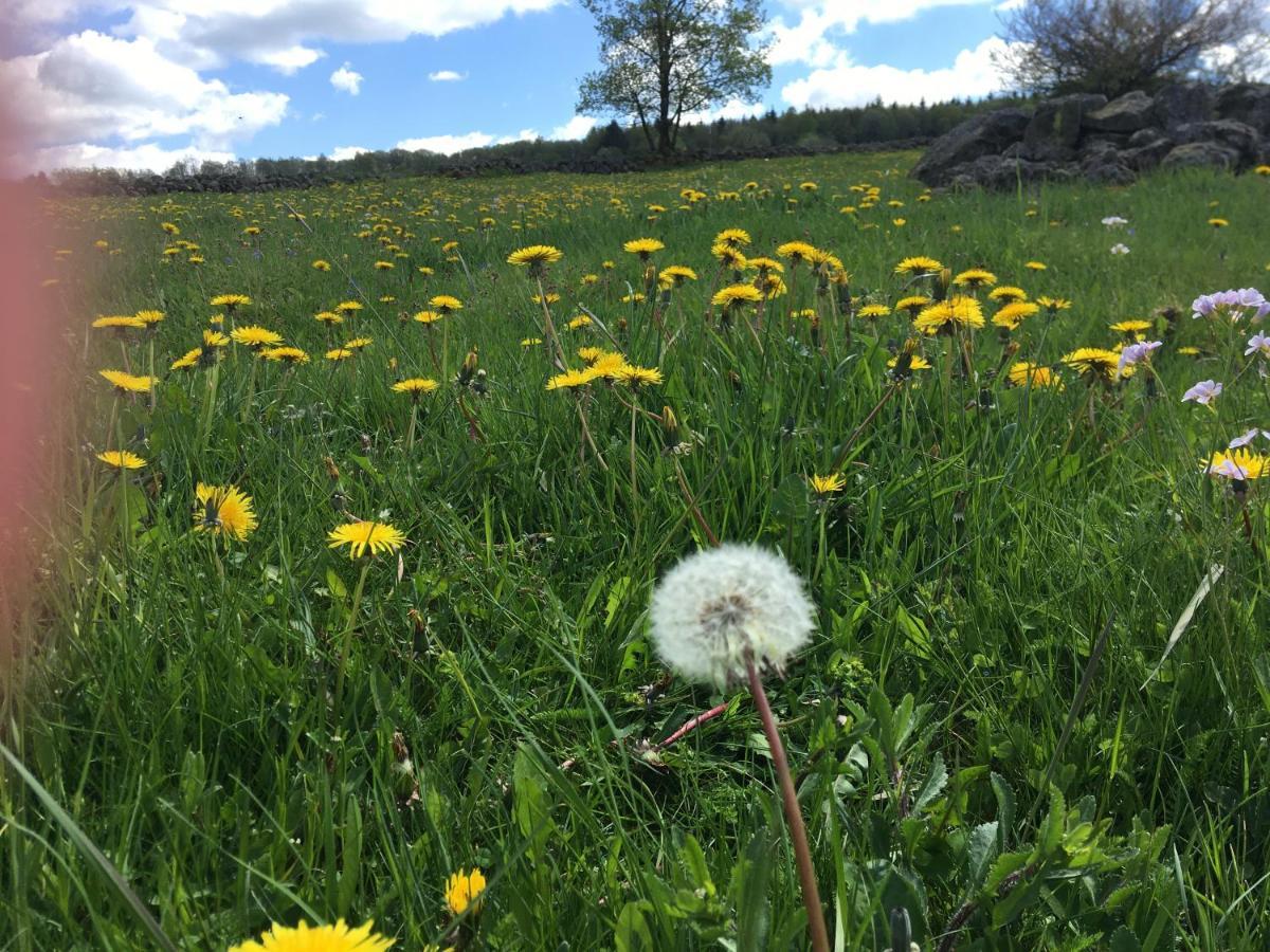 Rhoener Sternenhimmel Fewo 1 Und 2 Frankenheim/Rhon Экстерьер фото